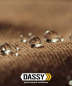 Preview: DASSY® Cosmic