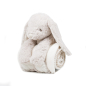 Preview: Rabbit And Blanket