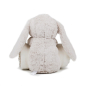 Preview: Rabbit And Blanket