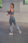 Preview: Ladies´ Seamless Fade Out Leggings