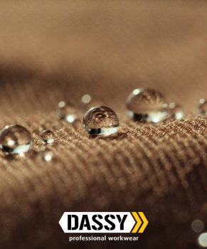 Preview: DASSY® Spectrum