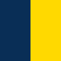navy/bright yellow