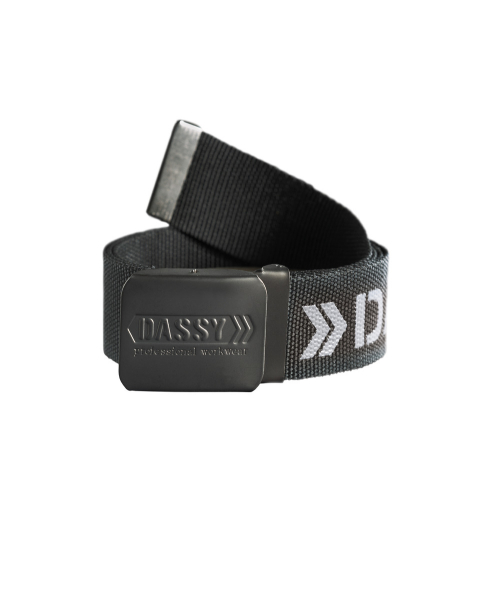 DASSY® Mercurius