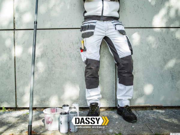 DASSY® FLUX PAINTERS